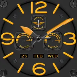 Aviator 01 WM full