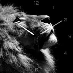 Lion01
