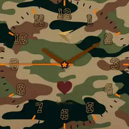 Military analog