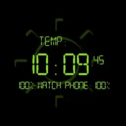 Old School VII LCD Weather Watch
