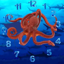 Octopus