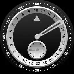 Brute RING Regulator Small Seconds Turntable Watch