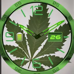 CannaWatch