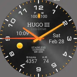 Hugo III