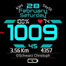 Schwarz65_Final_1.0.6