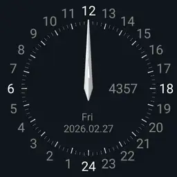 Analog 24 Hour