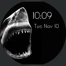 4k Shark