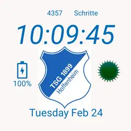TSG Hoffenheim