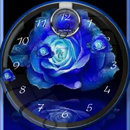 Rose 5