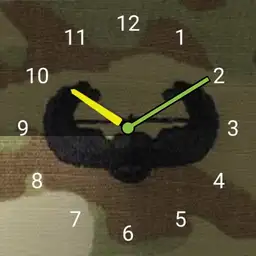 Army Air Assault
