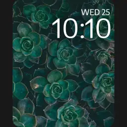 apple9
