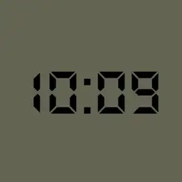 Just LCD screen watch