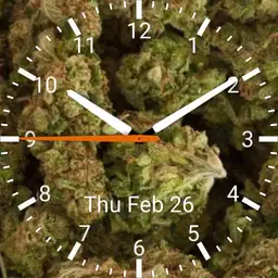Weed