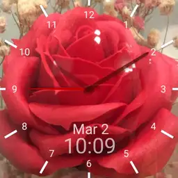 Love Rose