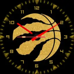 Raptors Champion