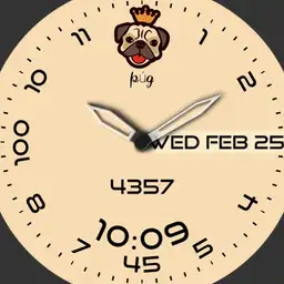 pug v2