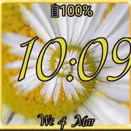 Chamomile