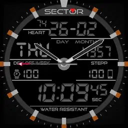 Sector Ex36 Copy