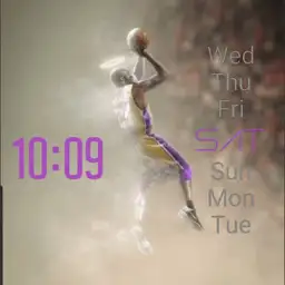 the black mamba