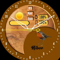 ringwatch
