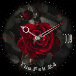 rose
