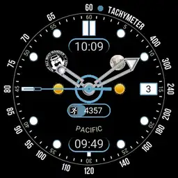 Enhanced Sport 2 Compass