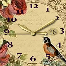 gold watch bird