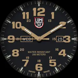 Luminox 1925 V1