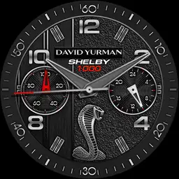 Shelby-D_yurman_zM