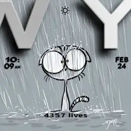 rainy cat