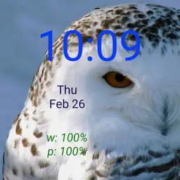 cjb snowy owl