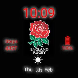 England Rugby Face