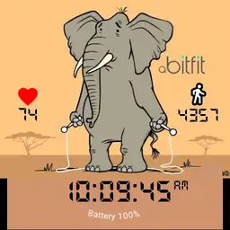 a bitfit