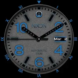 NIXON BLUEBIRD