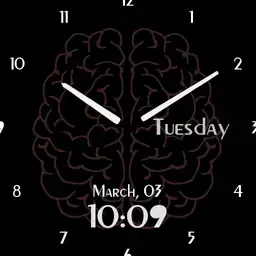 Brain optima 2