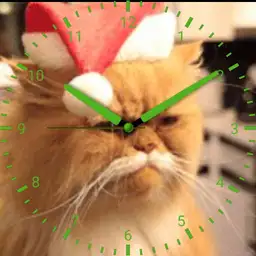 Santa Kitty