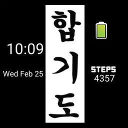 Hapkido
