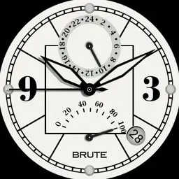 Brute PASHA II Gmt Battery Reserve Watch