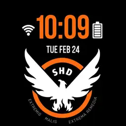 The Division