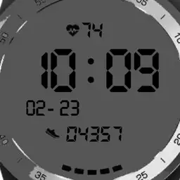 Ticwatch Pro Grey