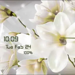 dodi,white flowers