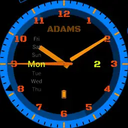 ADAMS Compass Watch