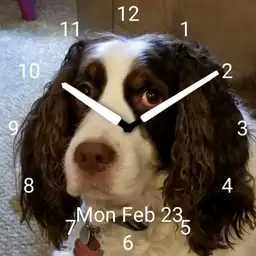 Penny
