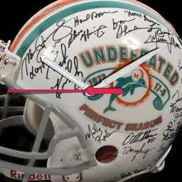 Miami Dolphins005