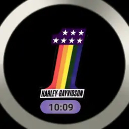 HARLEY-GAYVIDSON