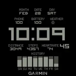 Garmin ST ORIGINAL