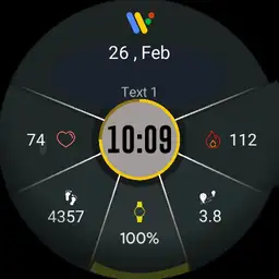 Troks TicWatch