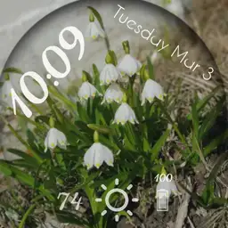 Spring