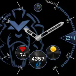 RedBullRacing Max Verstappen Copy