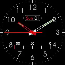 The cheap watch 2